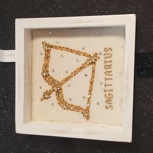 ♐️ Sagittarius Shadow Box